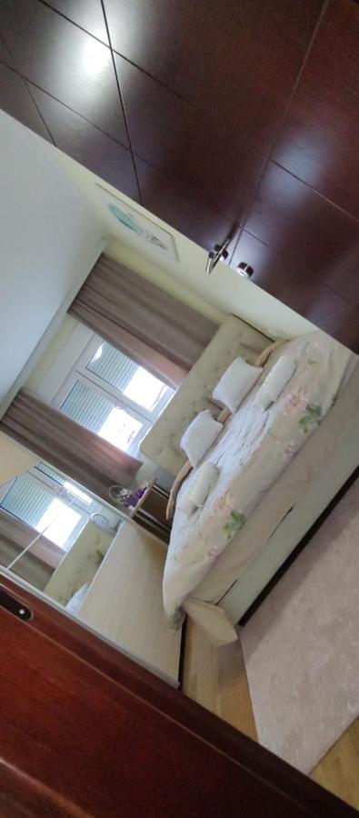 Apartman Mali Raj Vrnjačka Banja Esterno foto